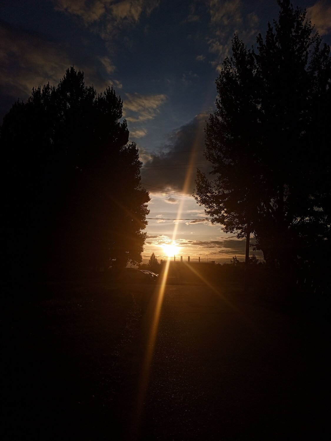 Photo #10609296