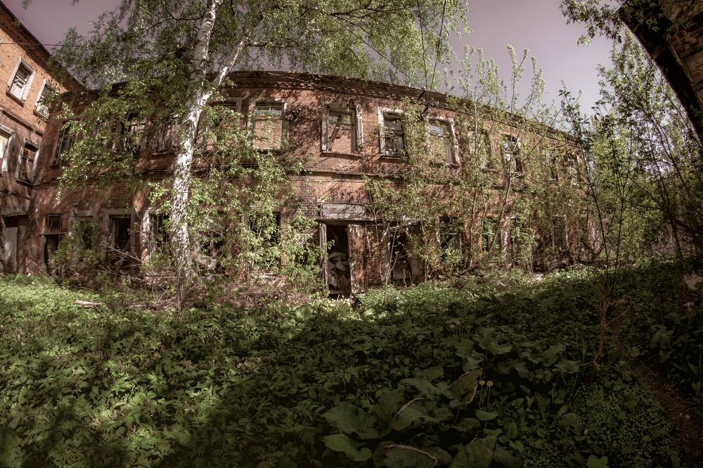 Photograph by Александр Колляков