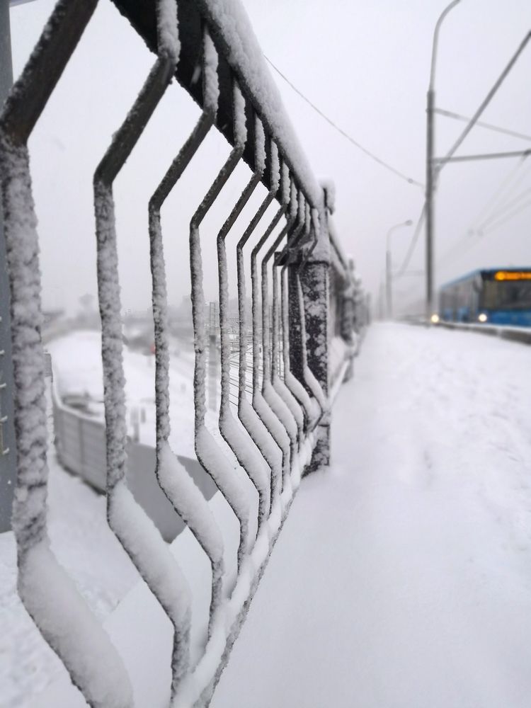 Фотография автора Можаев Сергей