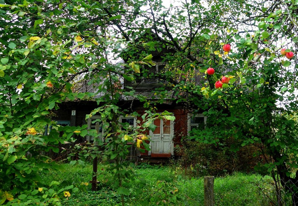 Photograph by IRINA KORNEVA