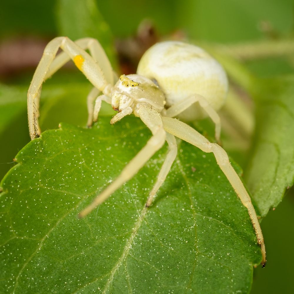 Фотография автора Владимир Зубков