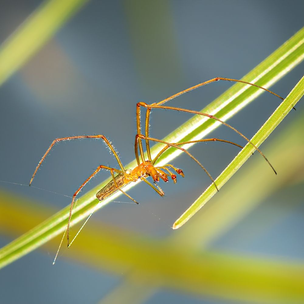 Фотография автора Владимир Зубков