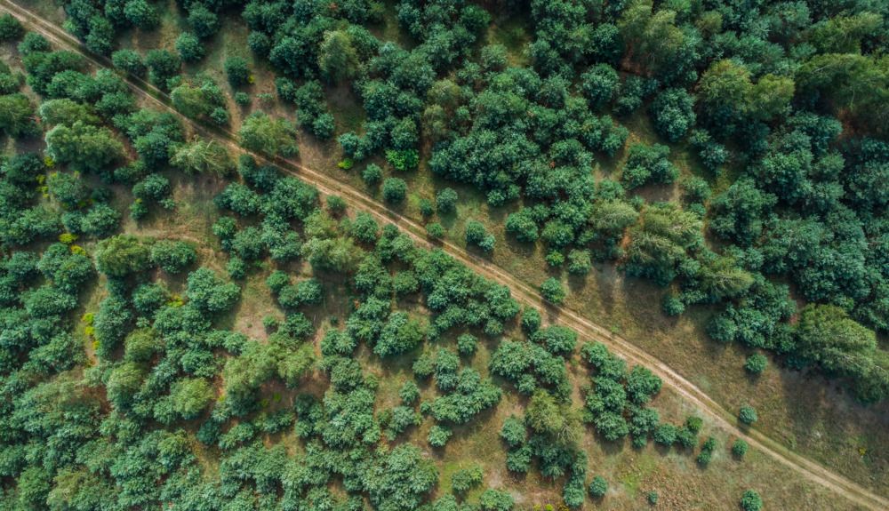 Photograph by Leanid Kulpo