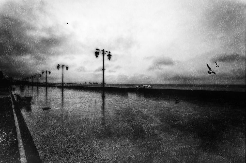 Photograph by Владимир Гамаюнов