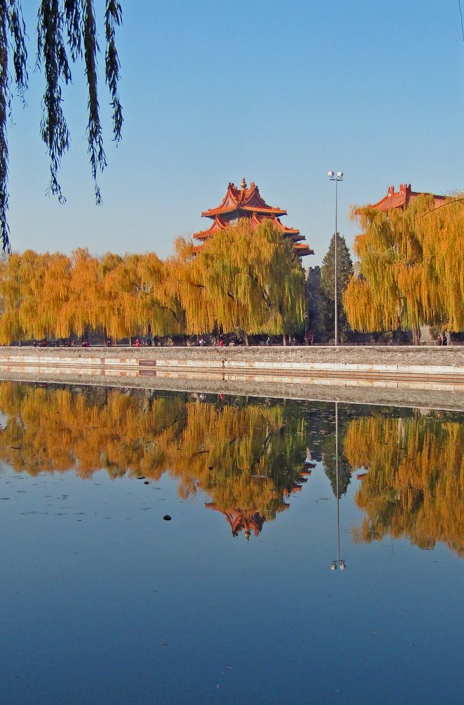 Photograph by Olga Kot