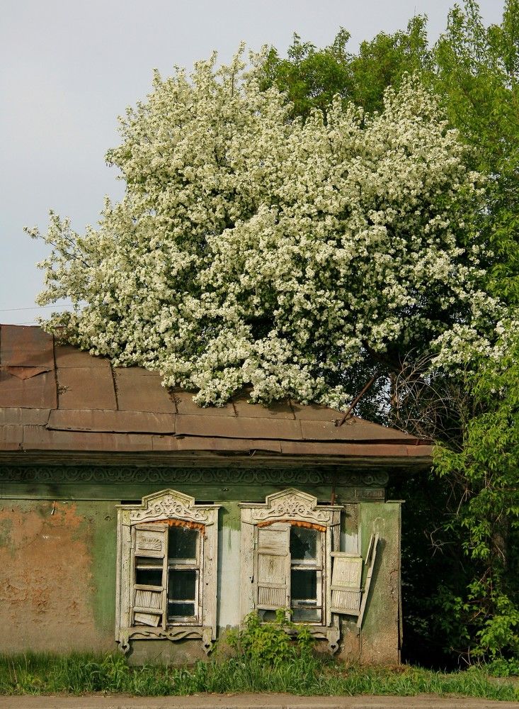 Photograph by Владимир Сафронов