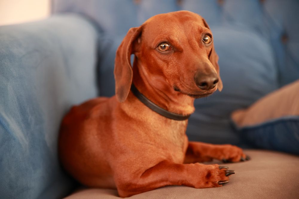 Photograph by Oscar Cortes Alarcón