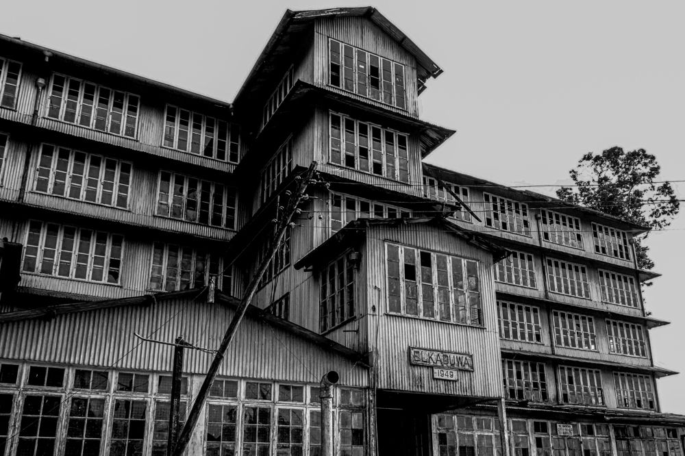 Photograph by Anantharajha Manoj