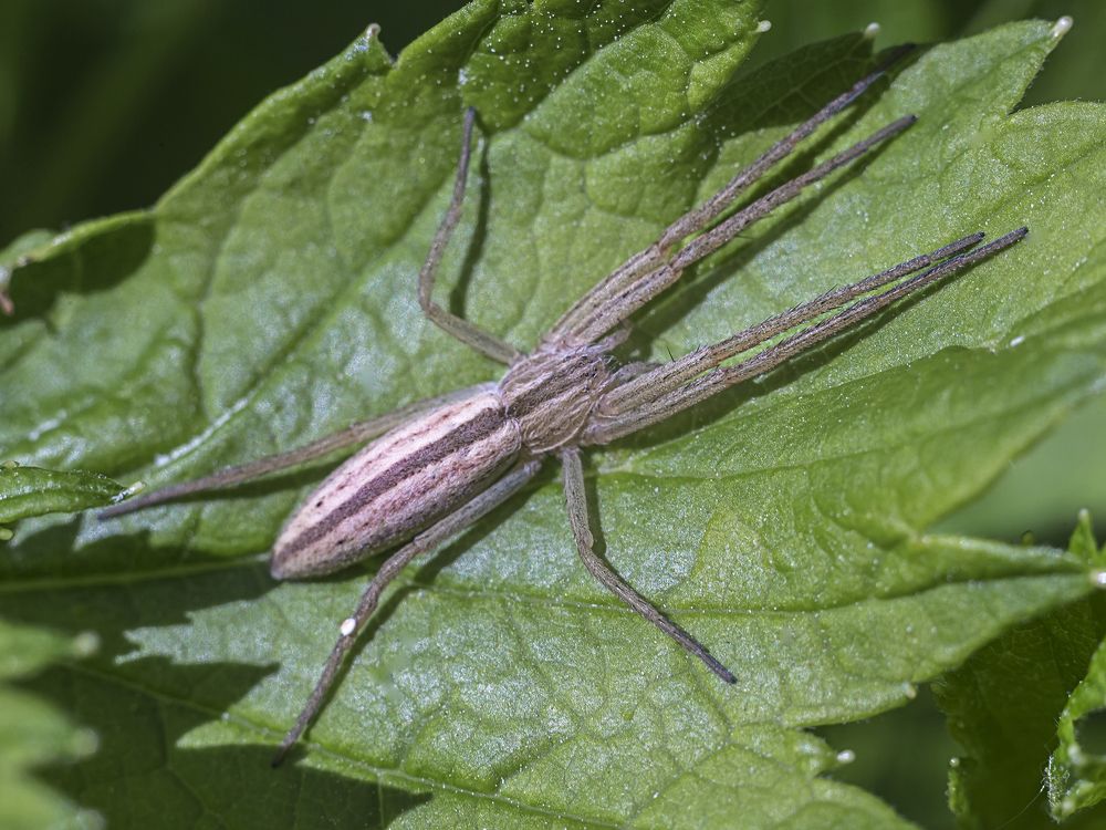 Фотография автора Анкудинов Леонид