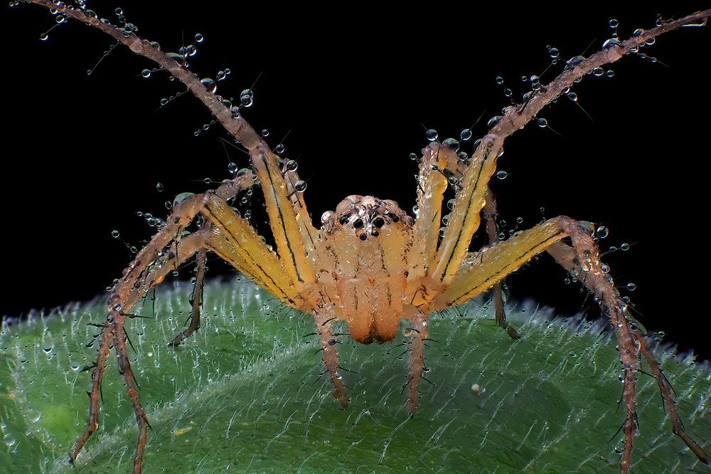 Photograph by Li Chen-You