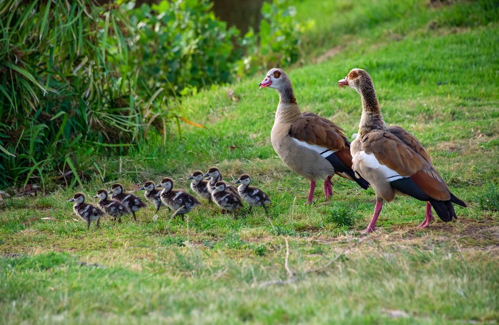 Photograph by Vladimir Bragilevsky