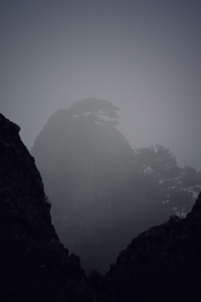 Сквозь туман