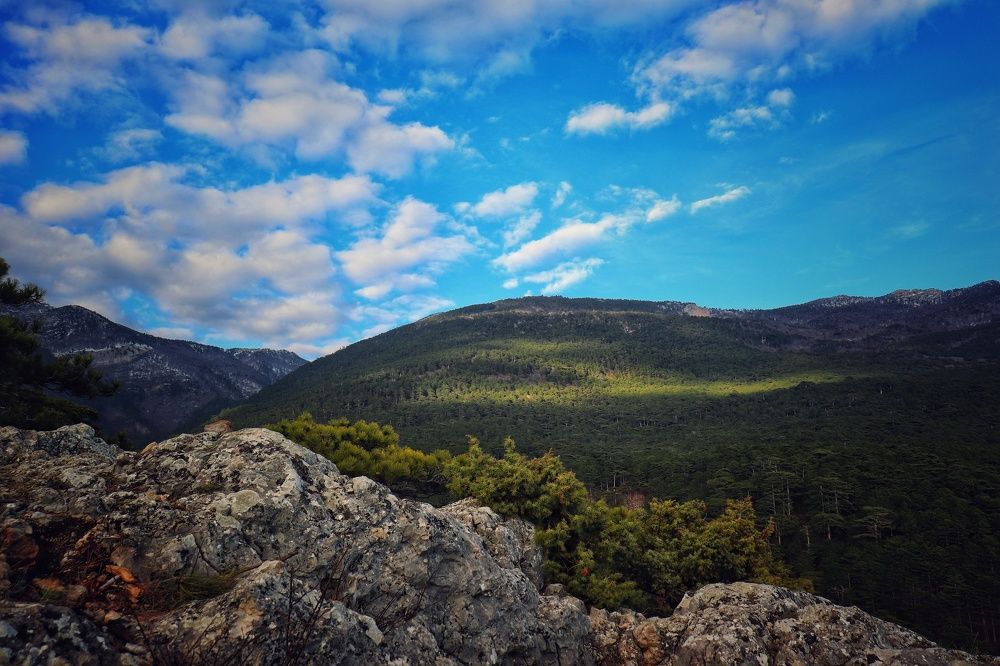 Безграничная красота