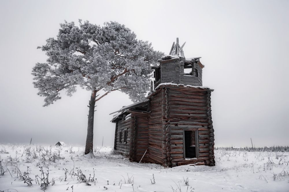 Photograph by Соколова Елена