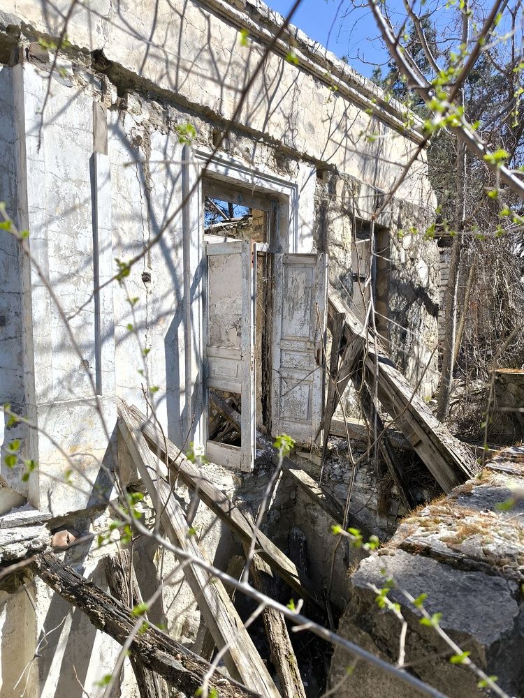 Фотография автора Юлия Лубкина