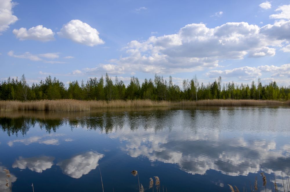 Photograph by Николай Соколовский