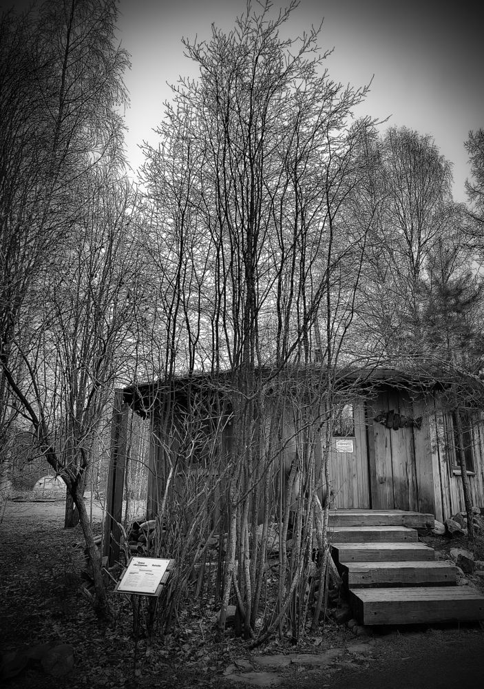 The Ancient Witch's Residence