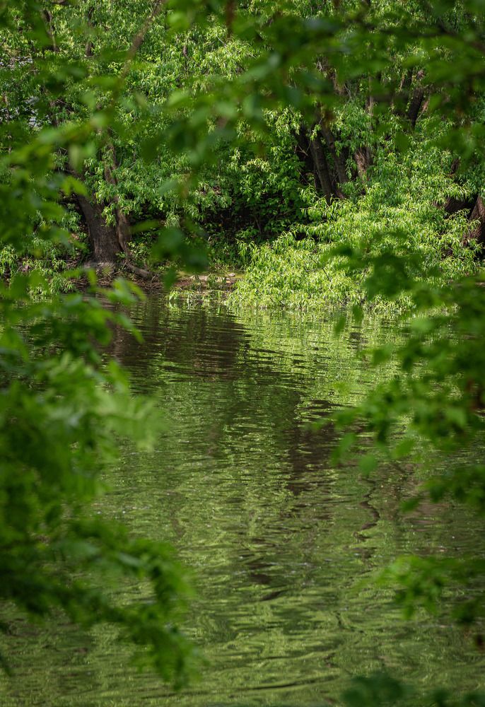 Photograph by Сергей Басов