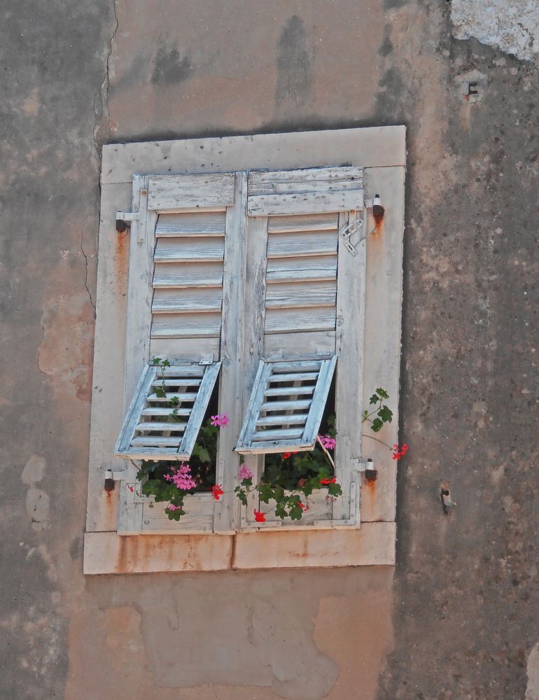 Photograph by Olga Kot