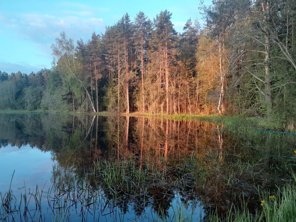 Photograph by Юрий Пучков