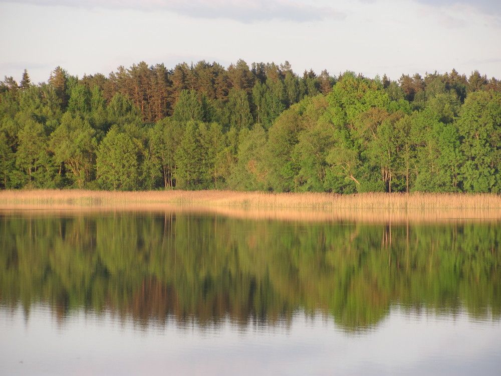 Photograph by Юлия