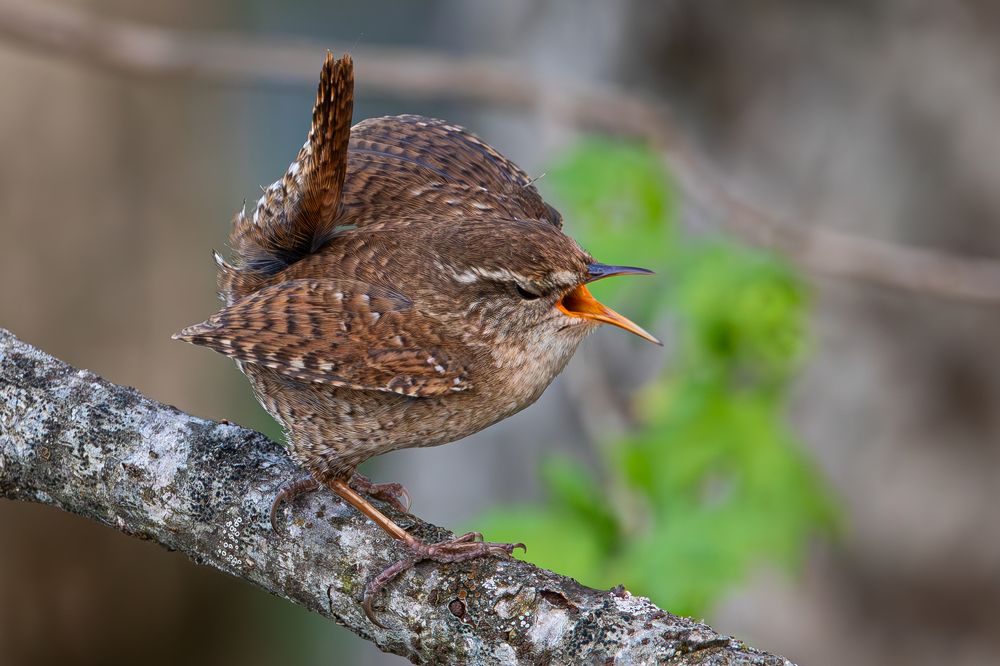 Photograph by Алексей