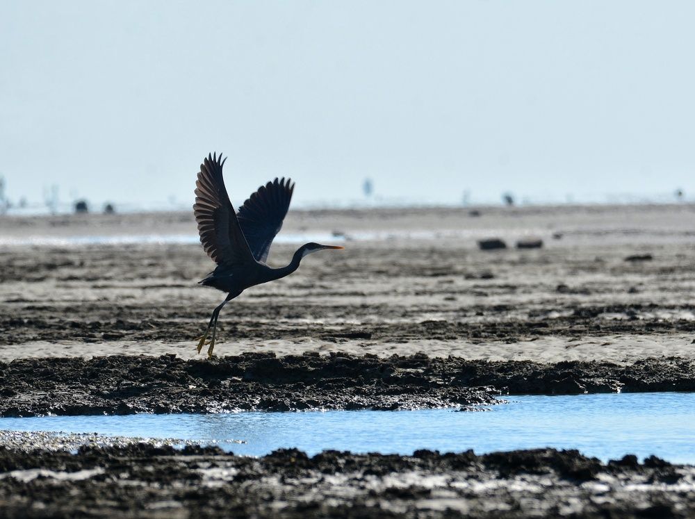 Photograph by Amin Golestanipour