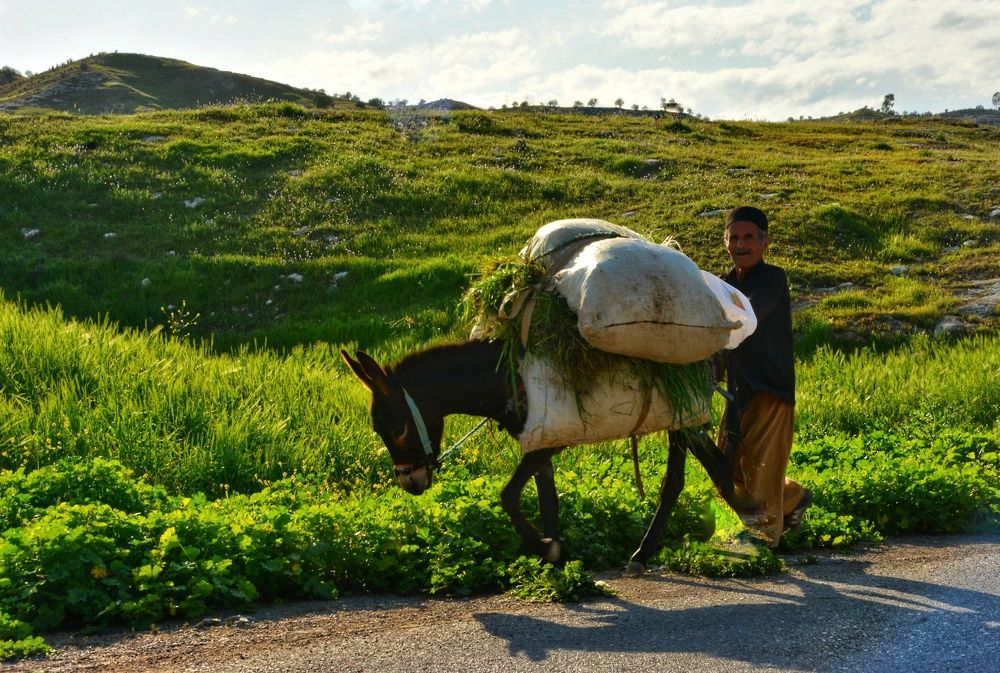 Photograph by Amin Golestanipour
