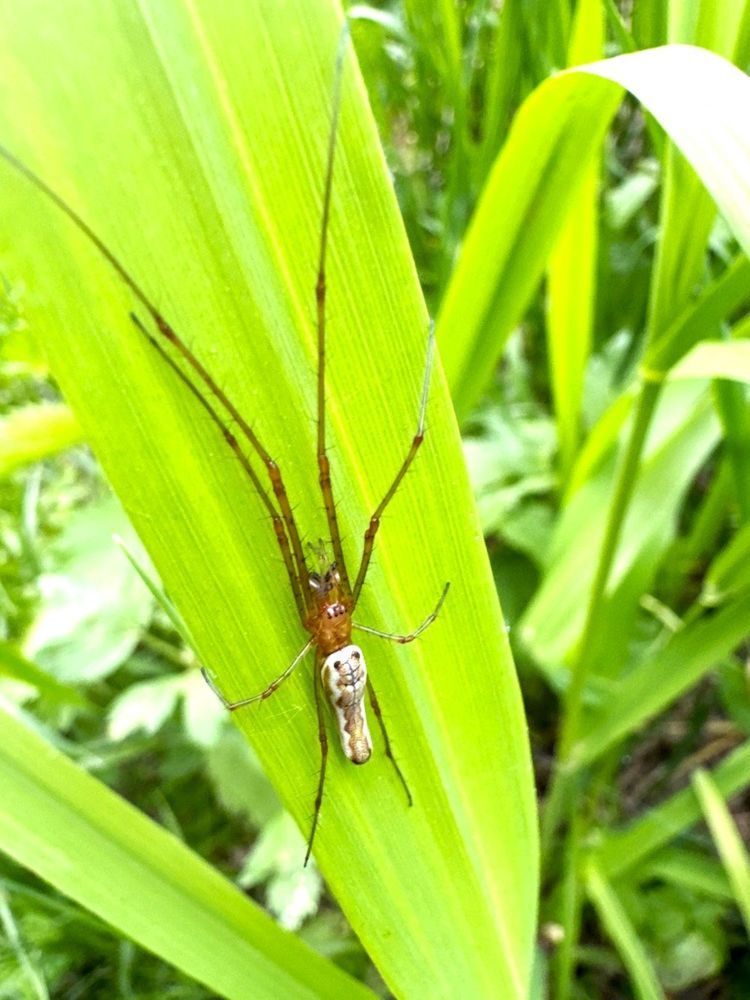 Фотография автора Виктория Болховитина-Зеленкова