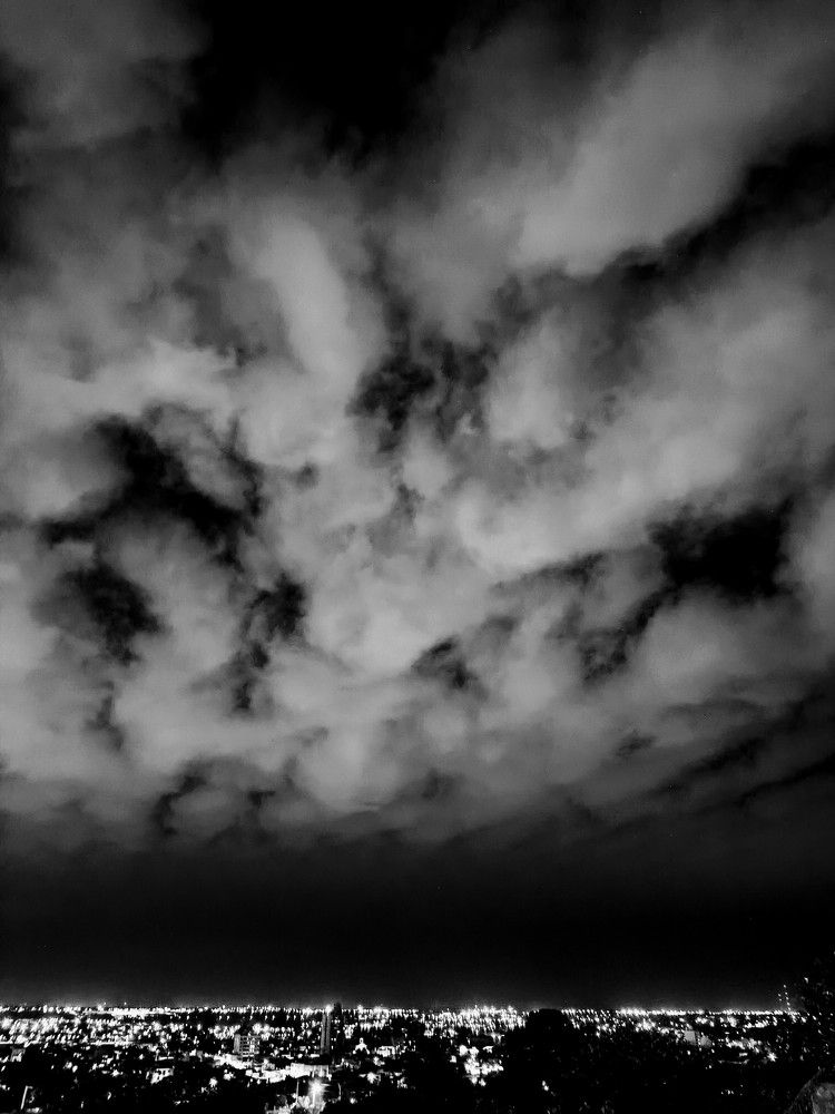 Photograph by Patricia Delionardis