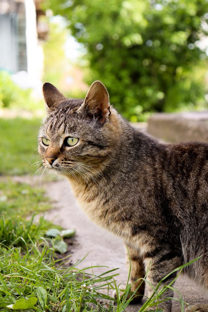 Photograph by Анастасия Селява