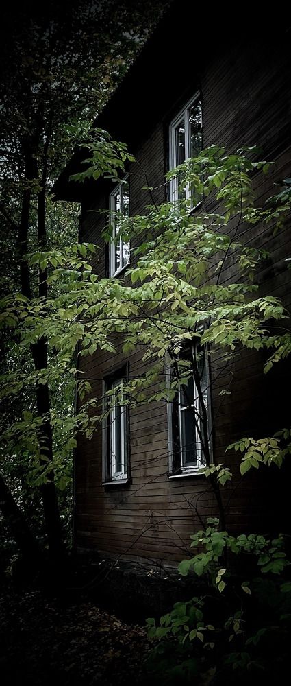 Don't scare away the elves