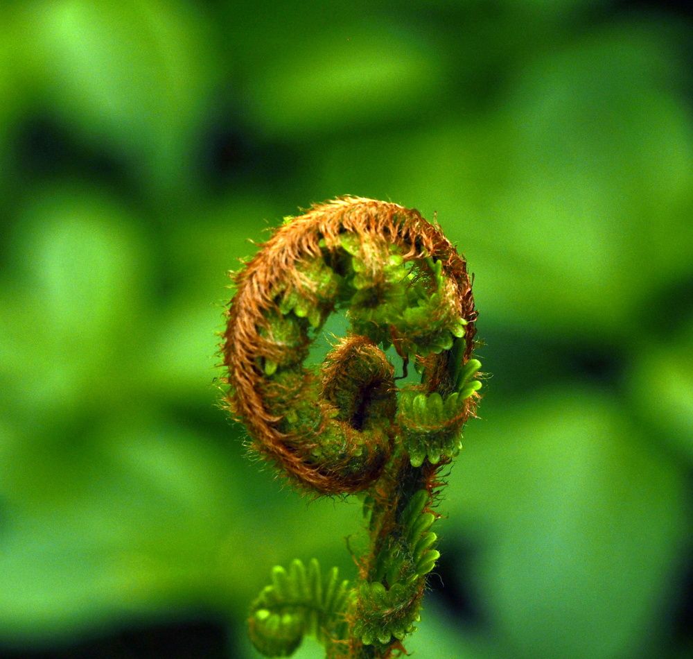 Photograph by Tatyana Markova