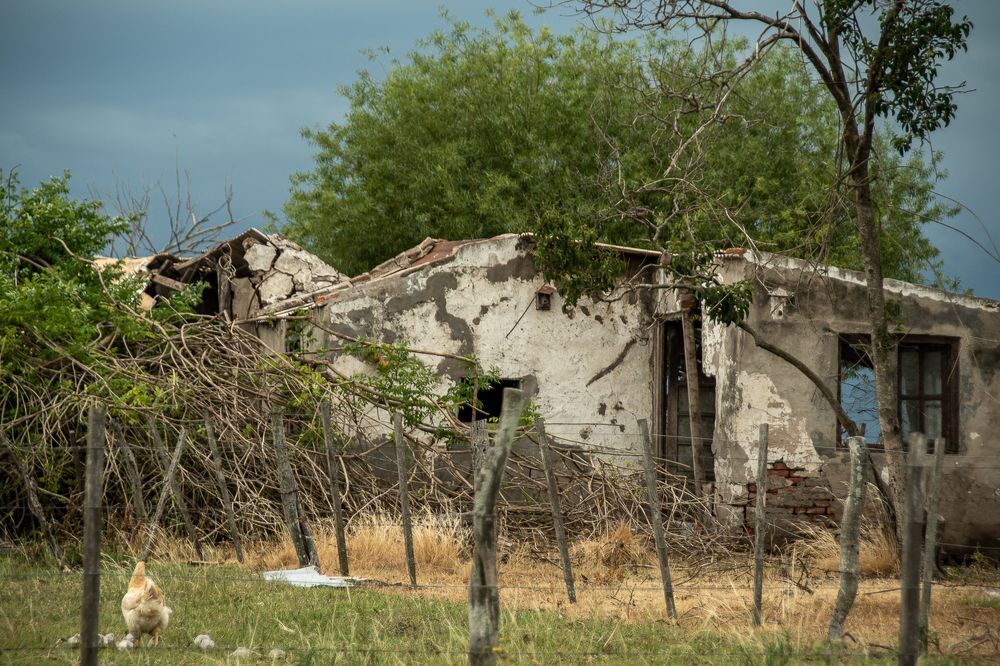 Фотография автора Silvana Blanc