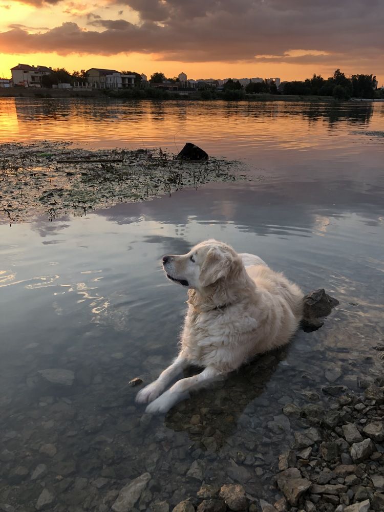 Photograph by Лариса Куторжевская