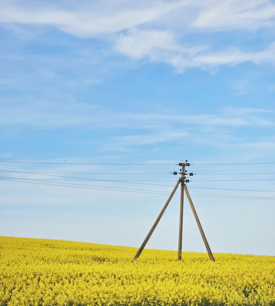 Фотография автора Алексей Полуянцевич