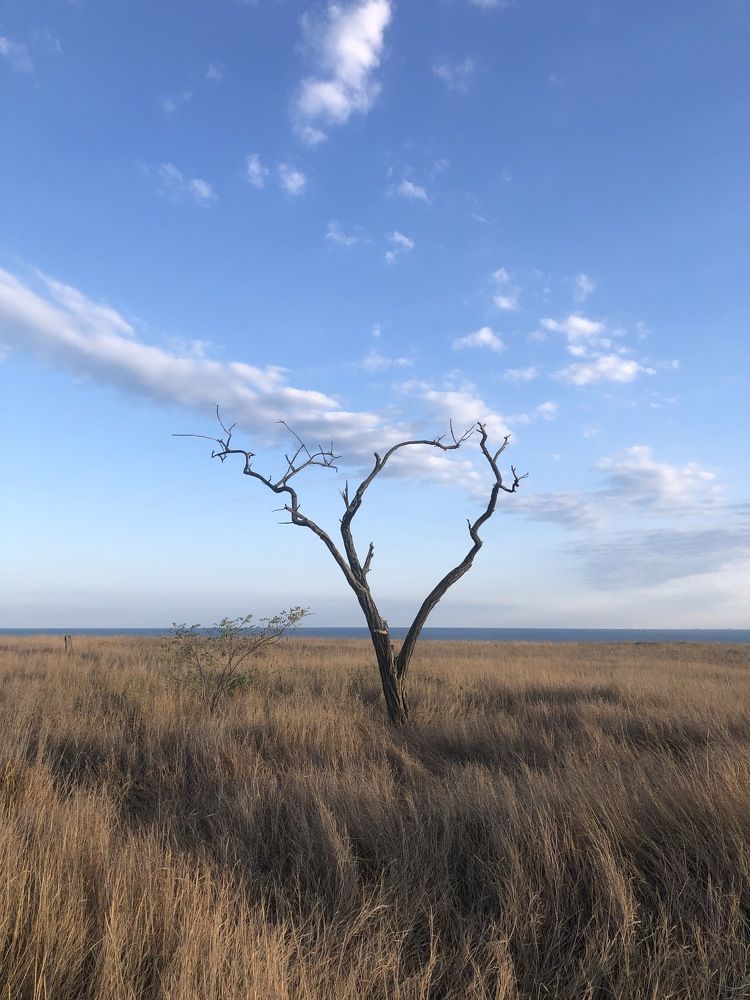 Photograph by Лариса Куторжевская