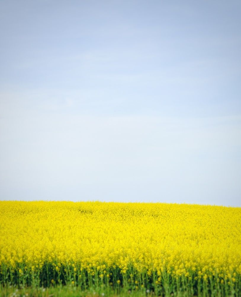 Фотография автора Алексей Полуянцевич