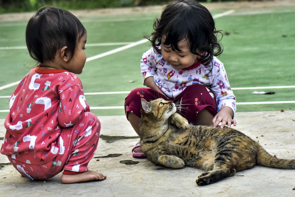 Photograph by Pujo Cahyono