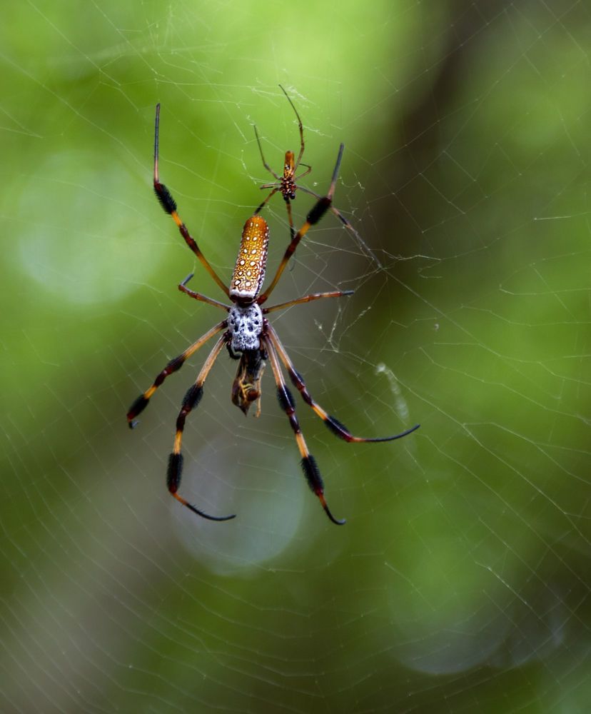 Photograph by Анатолий Костерев