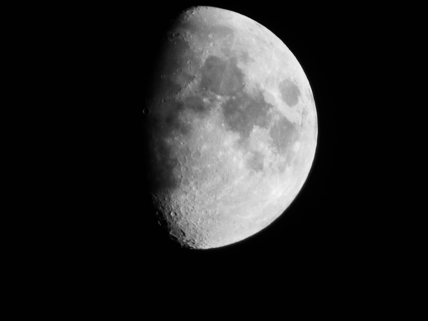 Photo #10610558