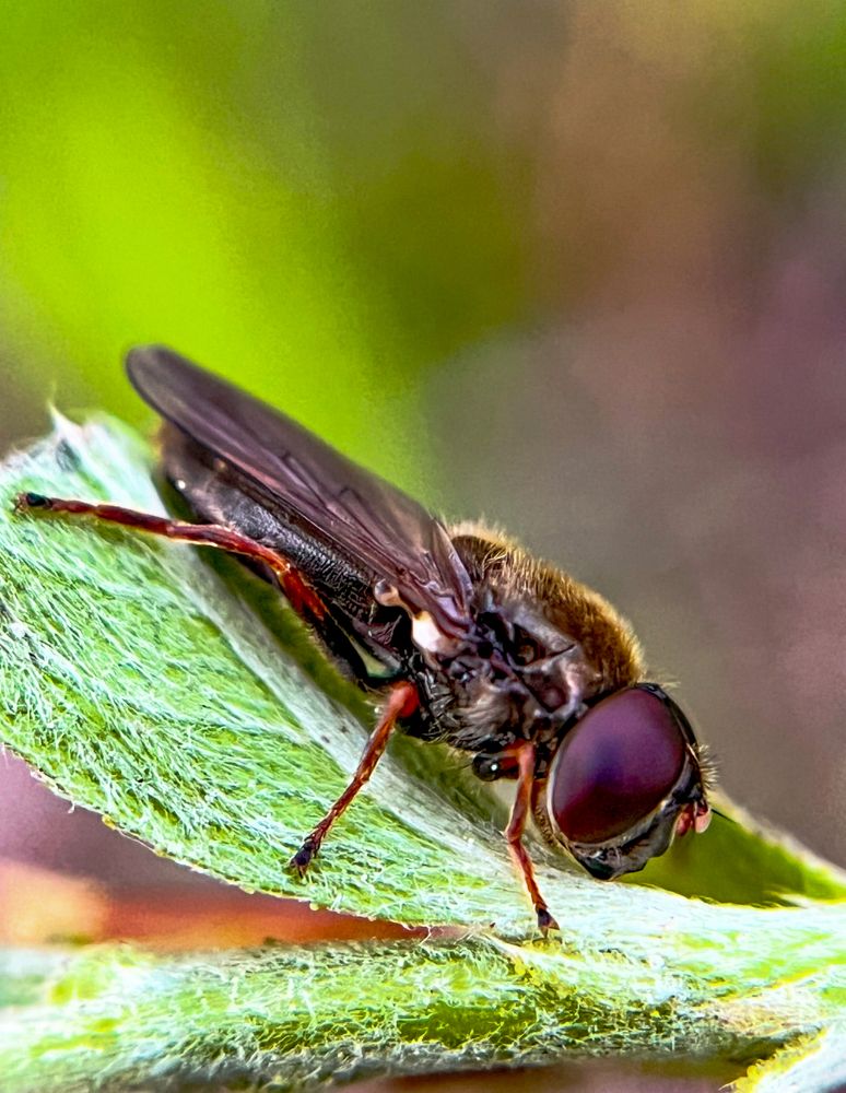 Photograph by Татьяна Михайловна