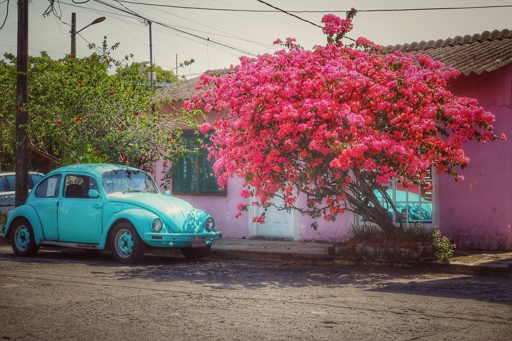 Photograph by Ulises Pintos