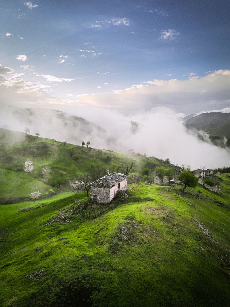 Photograph by Edward Venev