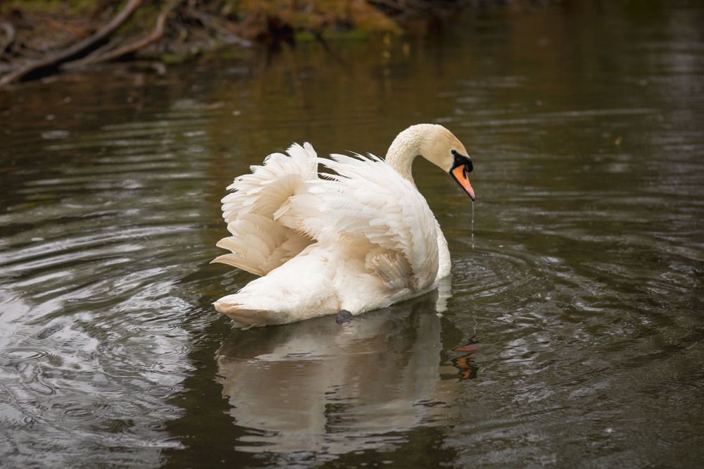 Photograph by Юлия Мишина