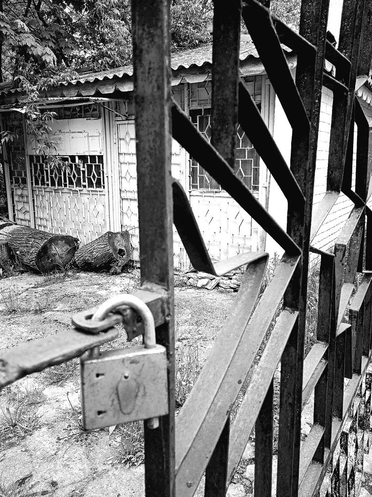 Photograph by Марина Гусева