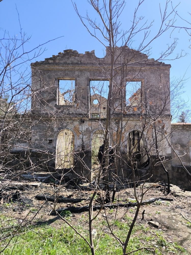 Фотография автора Юлия Лубкина