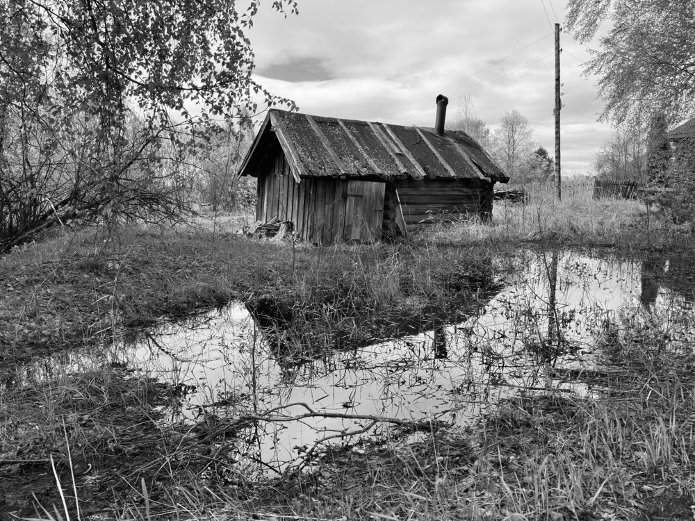 Photograph by Kuzmichev Alexey