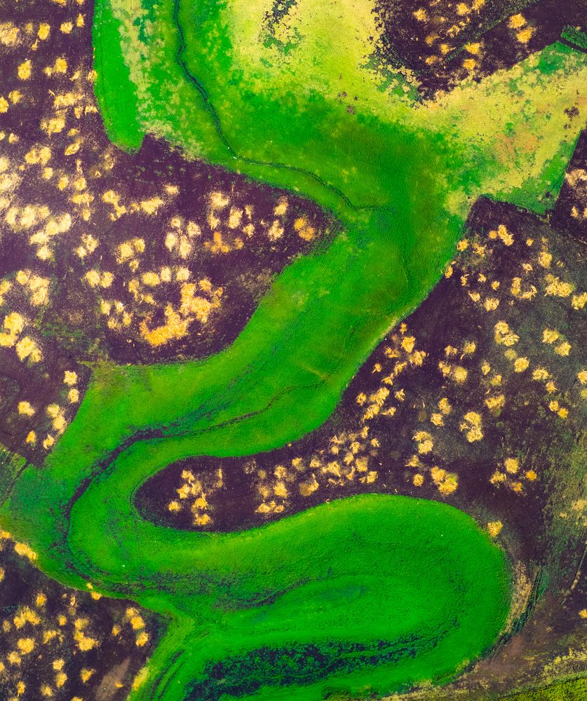 Photograph by Ashwin KV