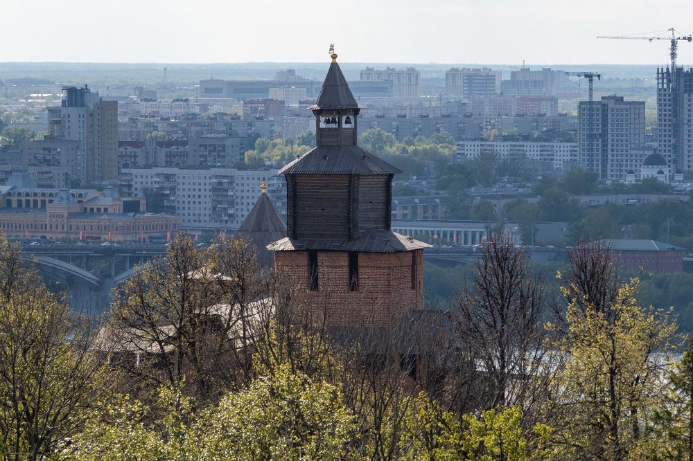 Фотография автора 